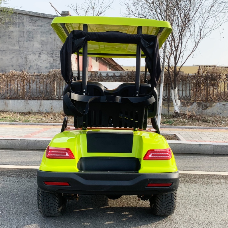 Luxury Bags Price - Fabrikpreis 2-Sitzer Luxus Elektro-Golfwagen mit 60V